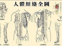 南京男子SPA会所：经络疏通十问十答！